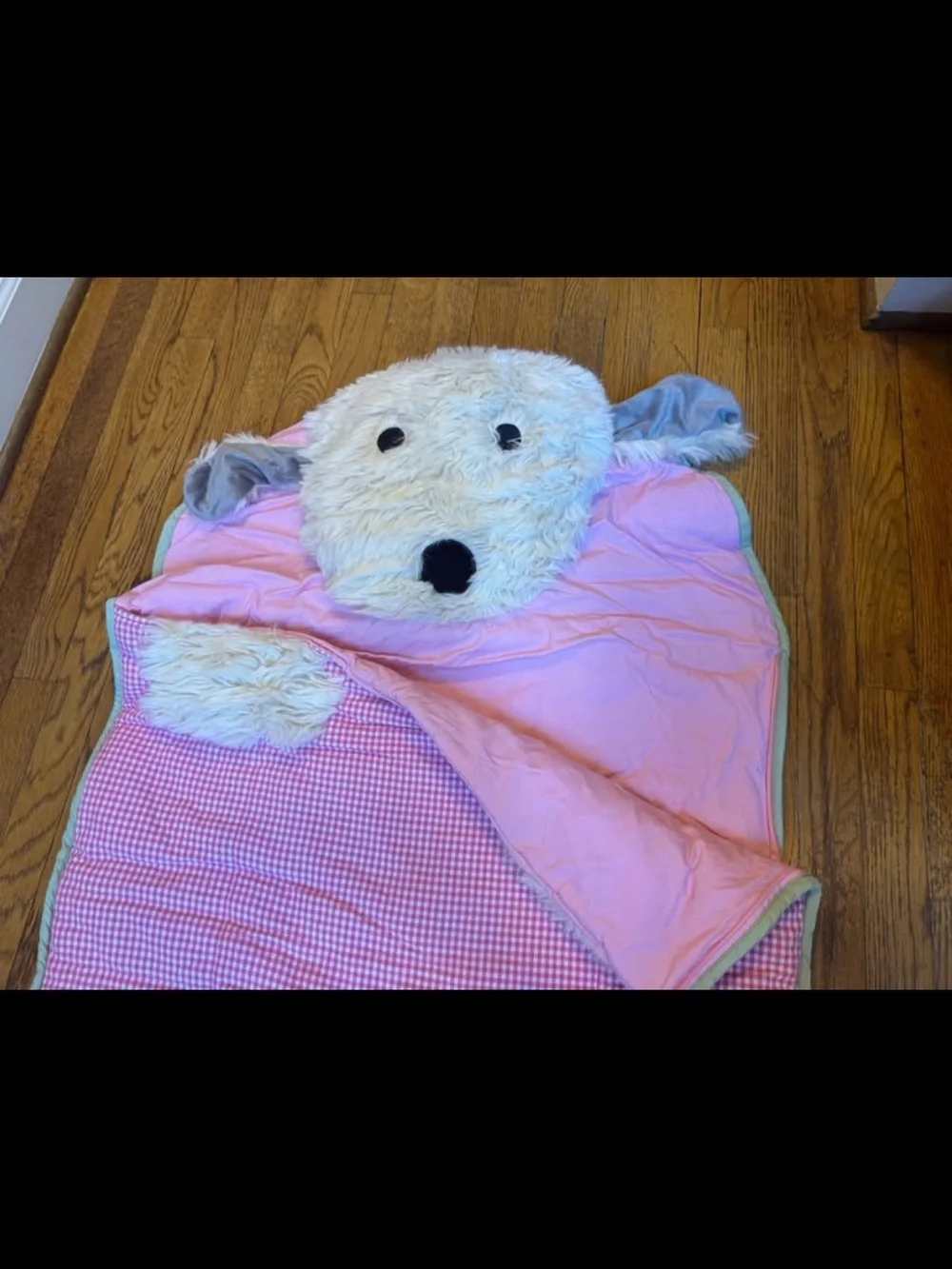 Pottery Barn Kids Shaggy Head Dog Puppy Sleeping Bag Pink White Gingham